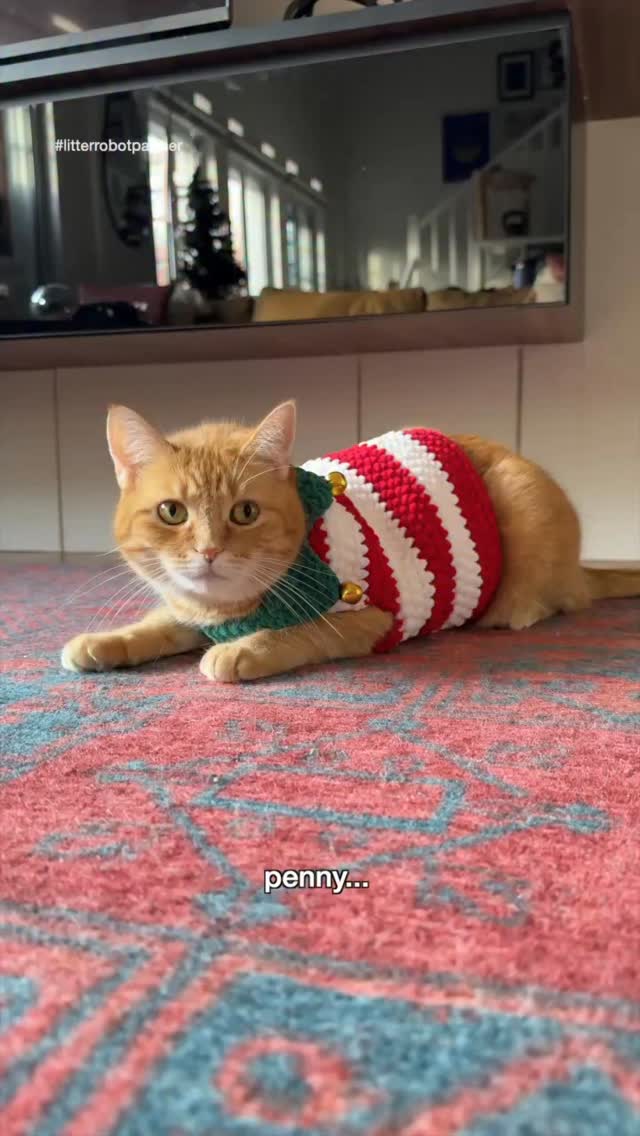 Instagram post by @felixthepalegingercat for Litter-Robot. Caption reads: the P4 approved @thelitterrobot 4 is the gift that....