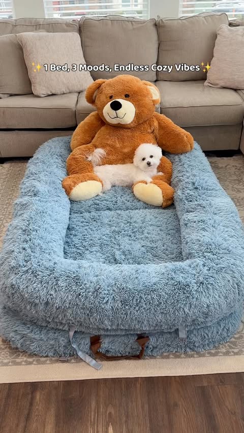 Instagram post by @bingsuthebichon for Lesure Pet. Caption reads: [...] for every home & 𝗔𝗣𝗧. 🐶🛏️ The....