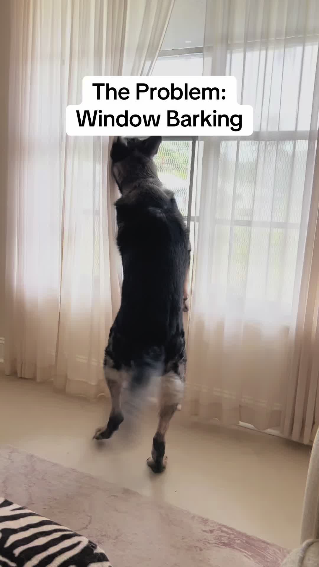 TikTok post by @mosesandtwolegger for Jugbow. Caption reads: [...] My only regret is not trying it sooner.....