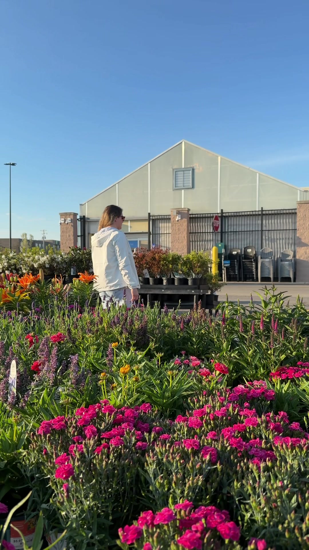 TikTok post by @jkentrn for BugMD. Caption reads: You can find @BugMD WeedHero at Walmart! Pick it....