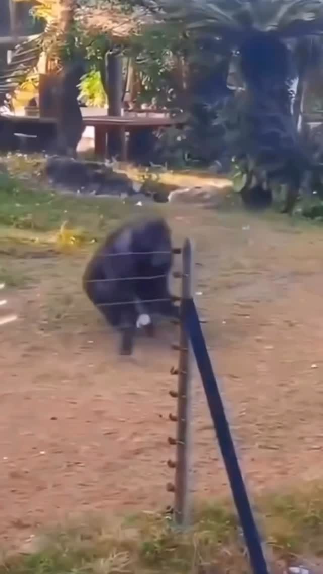 Instagram post by @foreplay for QUAY. Caption reads: Caught me off guard 😂 @quayaustralia.