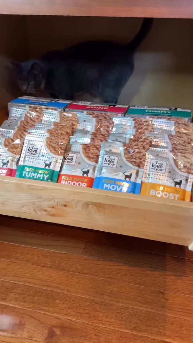 Instagram post by @purrfectinfluencer for I and love and you. Caption reads: With @iandloveandyoupet Feed Meow pouches, your....