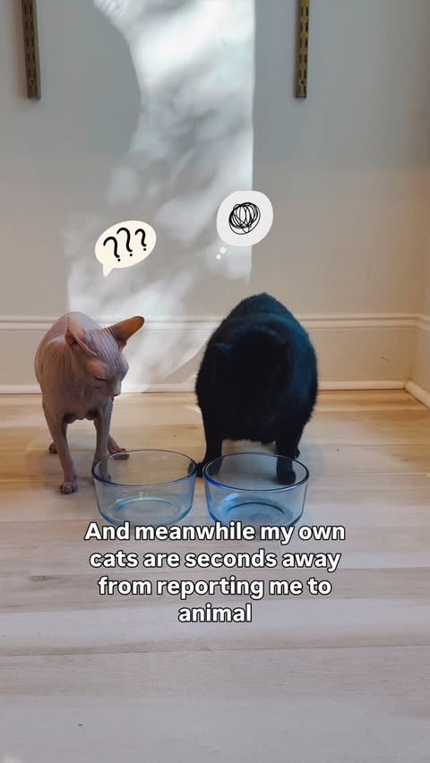 Instagram post by @whitneybullockcfmg for Oneisall. Caption reads: #ad Happy to have partnered-up with....