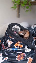 Instagram post by @pop_sausage for Barked by 9GAG. Caption reads: Cheering up my PopPop 🥰

#puggysmalls....