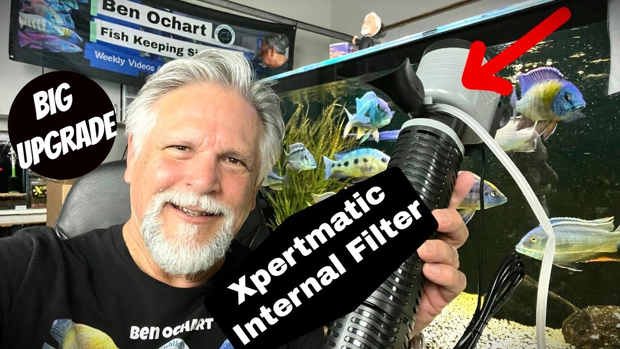 YouTube post by @BenOchart for Hygger Aquarium. Caption reads: Your Next Aquarium Filter is Here [and it Comes....