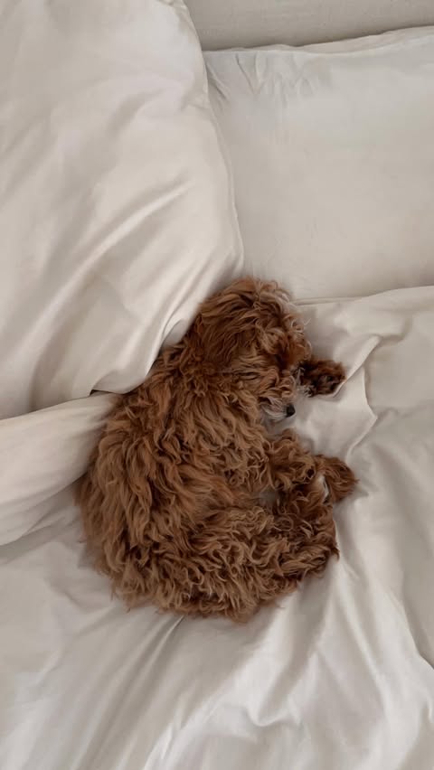 Instagram post by @jannaaaeeee for UKLASH. Caption reads: My secret to long lashes… @uklash Tubing Mascara!....