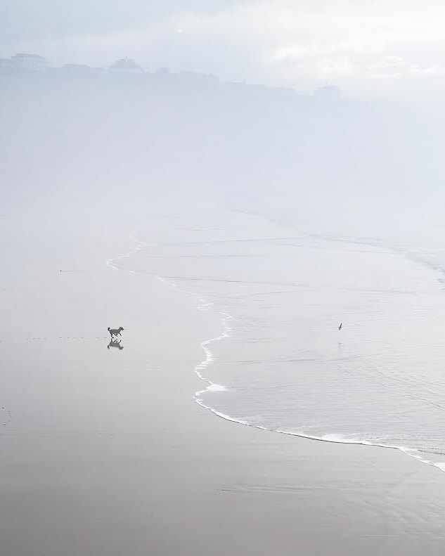 Instagram post by @themoodchaser for Nikon Europe. Caption reads: When less really is more. Landscape photographer....