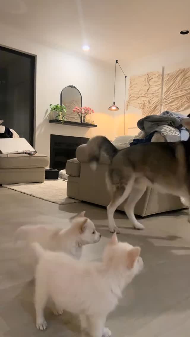 Instagram post by @pawruddd for Marc Jacobs. Caption reads: Omg thank you so much @marcjacobs  was not....