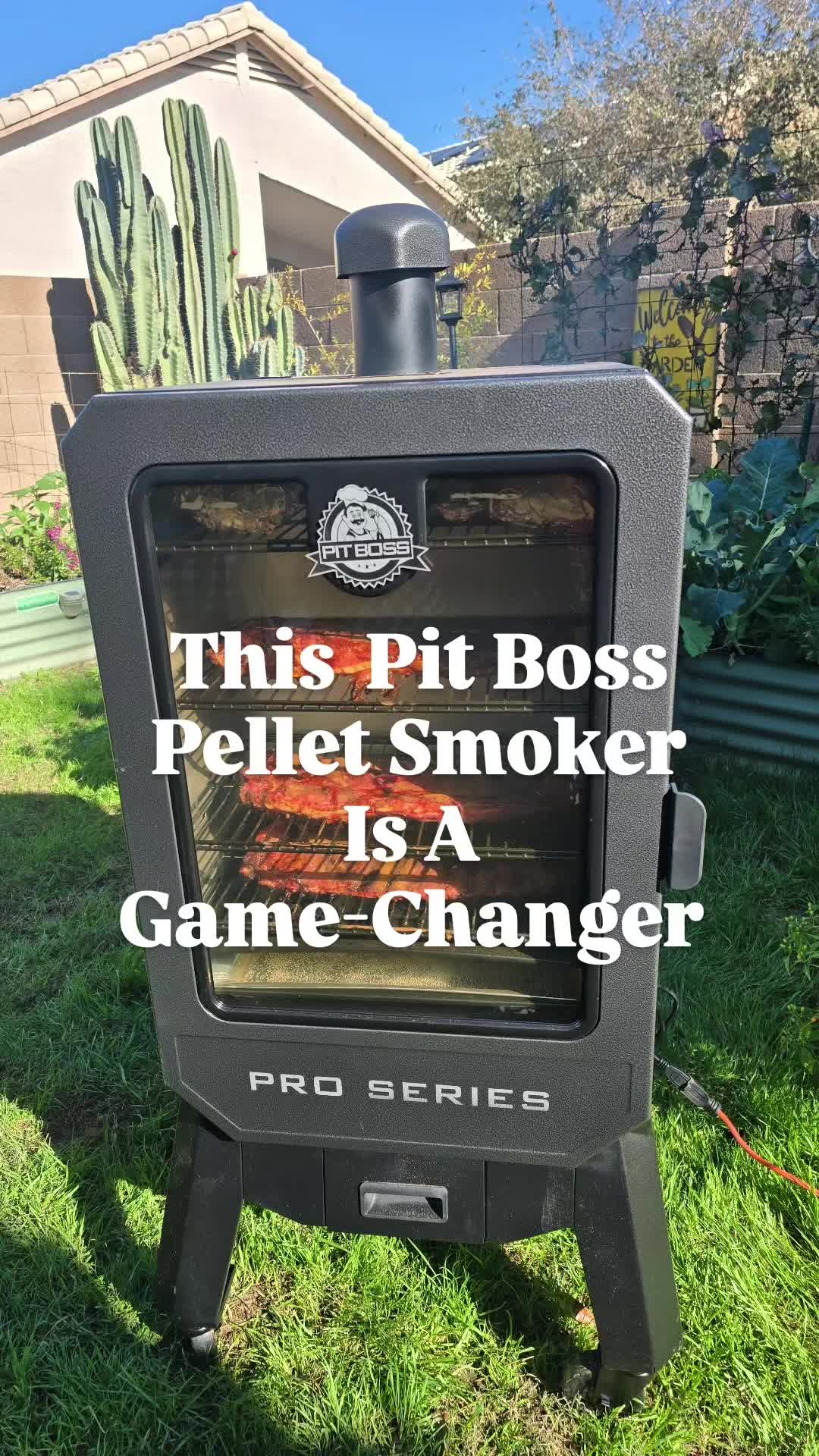 TikTok post by @azzengarden for Lowe's. Caption reads: [...] today from the @Lowe’s   From aisles at....