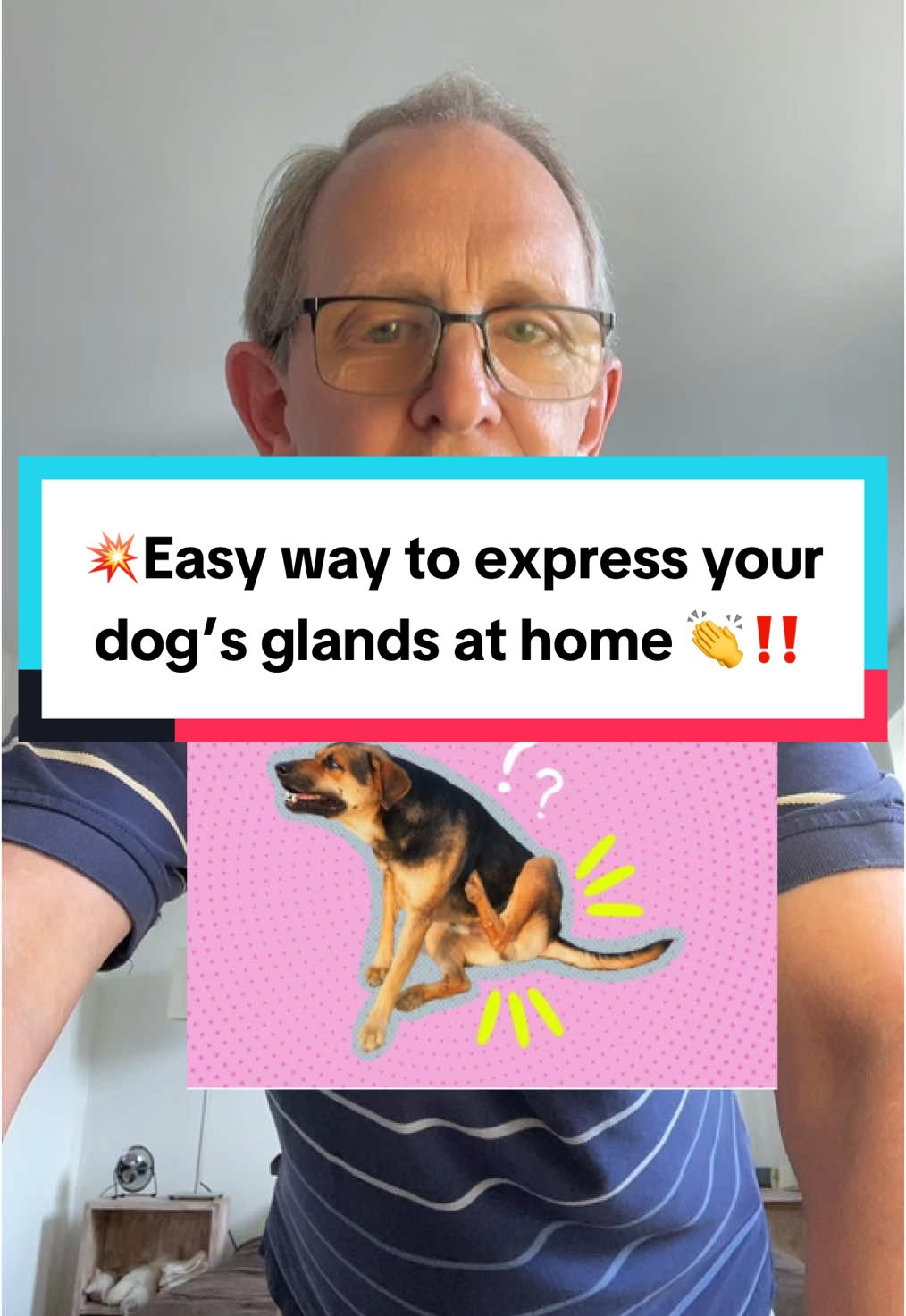 TikTok post by @johnspetsolutions for Native Pet. Caption reads: [...] #dogpack #petlife  @Native Pet .