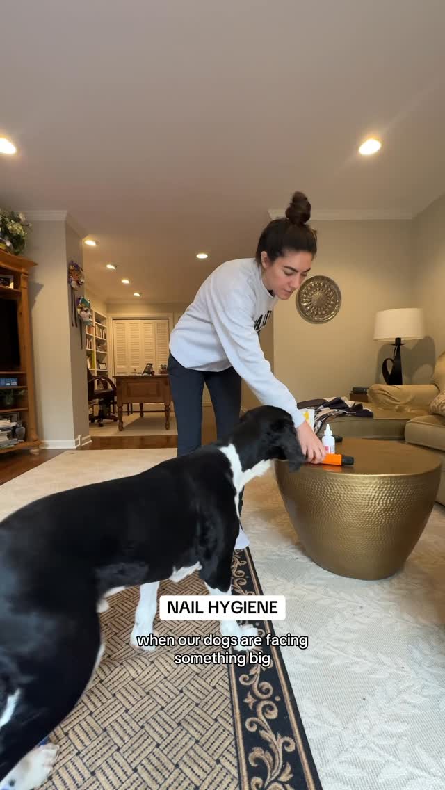 Instagram post by @myboyrudder for Open Farm Pet. Caption reads: any anesthesia coat tips? 

@openfarmpet treats....