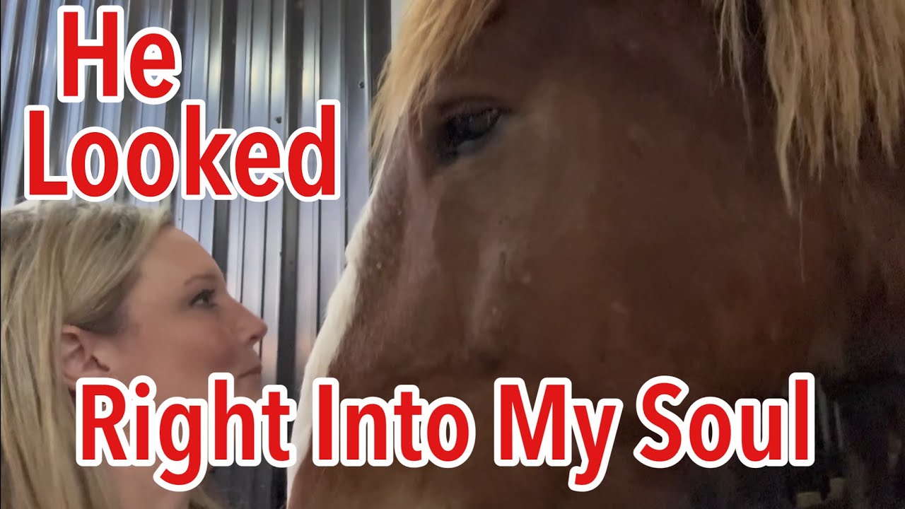 YouTube post by @FromSuitstoBoots for DeleteMe. Caption reads: New Year, New Horse?.