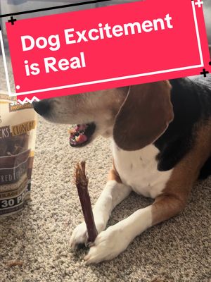 TikTok post by @peppermintpatty027 for Mighty Paw. Caption reads: [...] say more than I could 😂🐶 These Mighty Paw....