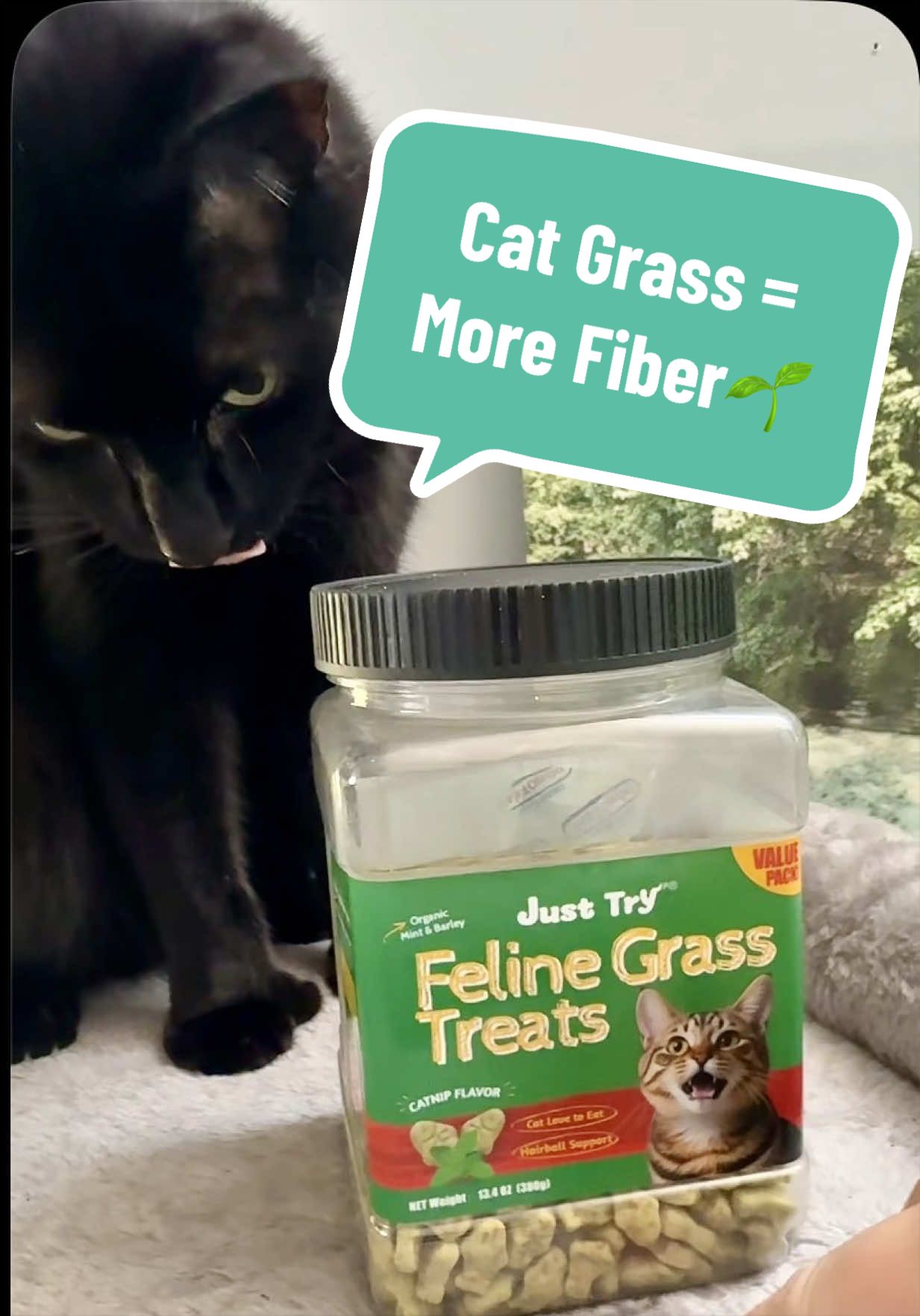 TikTok post by @ariesapproved for Just Try Pet US. Caption reads: [...] #CatHealth #CatTreats #CatTok @Just Try Pet....