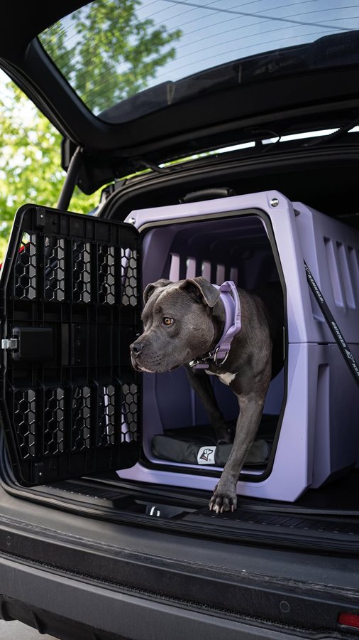 Instagram post by @will_and_mill for Gunner. Caption reads: [...] experience with her new car crate -....