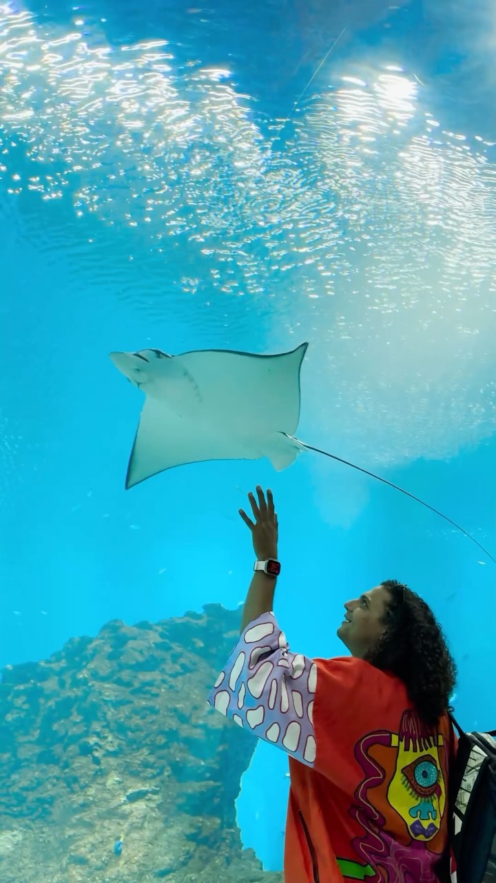 Instagram post by @zerxeswadia for Makemytrip. Caption reads: One of the coolest things I did at Yas Island was....