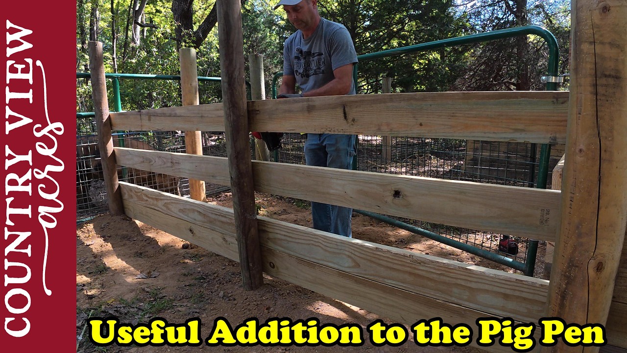 YouTube post by @CountryViewAcres for Reolink. Caption reads: Building a Loading Chute for Pigs & Attempting to....