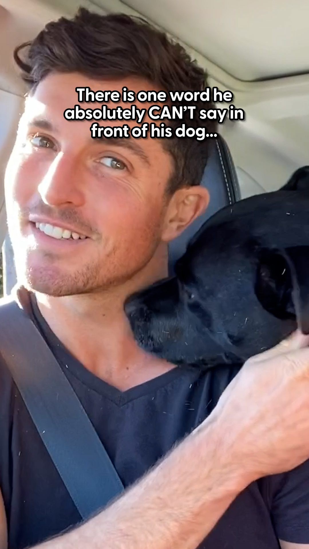 Instagram post by @a.daily.dose.of.dennis for The Dodo. Caption reads: This pittie's reaction when his @drews.daily.dose....