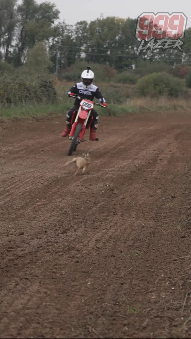 Instagram post by @999lazer for Ducati. Caption reads: Thumper vs The Desmo 👀When the local wildlife....