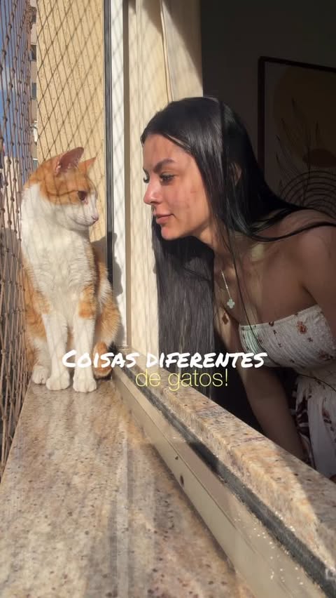 Instagram post by @taciaeos10gatos for Shopee. Caption reads: Comenta quero para receber os links!🩷 @shopee_br....