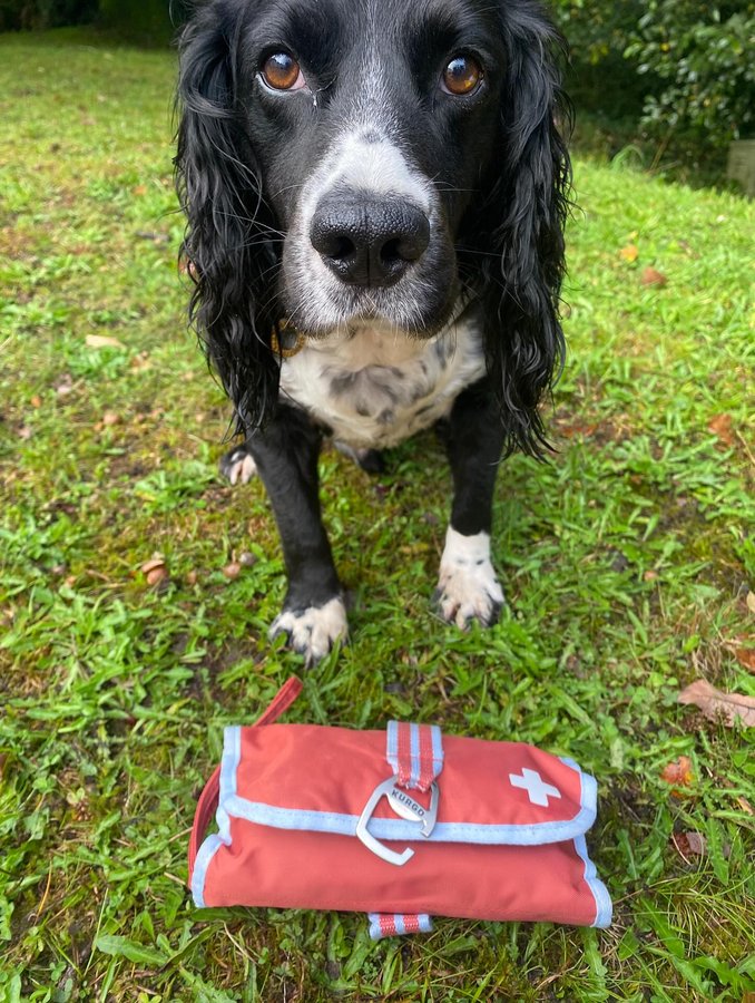 Instagram post by @cheekyspaniels_ for Kurgo. Caption reads: Essential dog first aid kit from @kurgoeu We take....