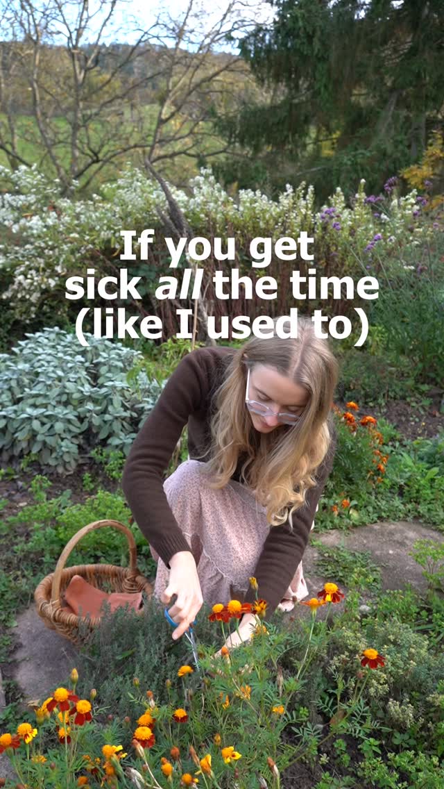 Instagram post by @annelieluise for Vimergy. Caption reads: Listen up 👇🏻🧡 I used to catch a cold or flu....