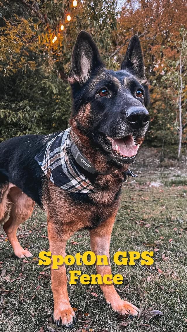 Instagram post by @thebexarpack for SpotOn Fence. Caption reads: Update! We’ve been using the SpotOn GPS since....