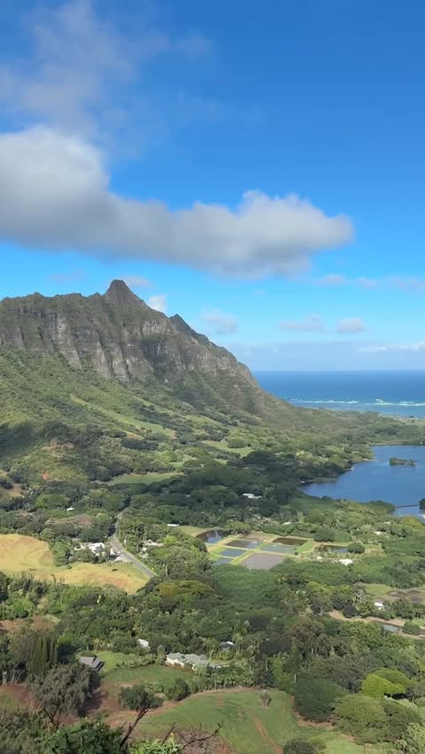 Instagram post by @keiani for Gymshark. Caption reads: chill hike for the soul 🌱

@gymshark |....