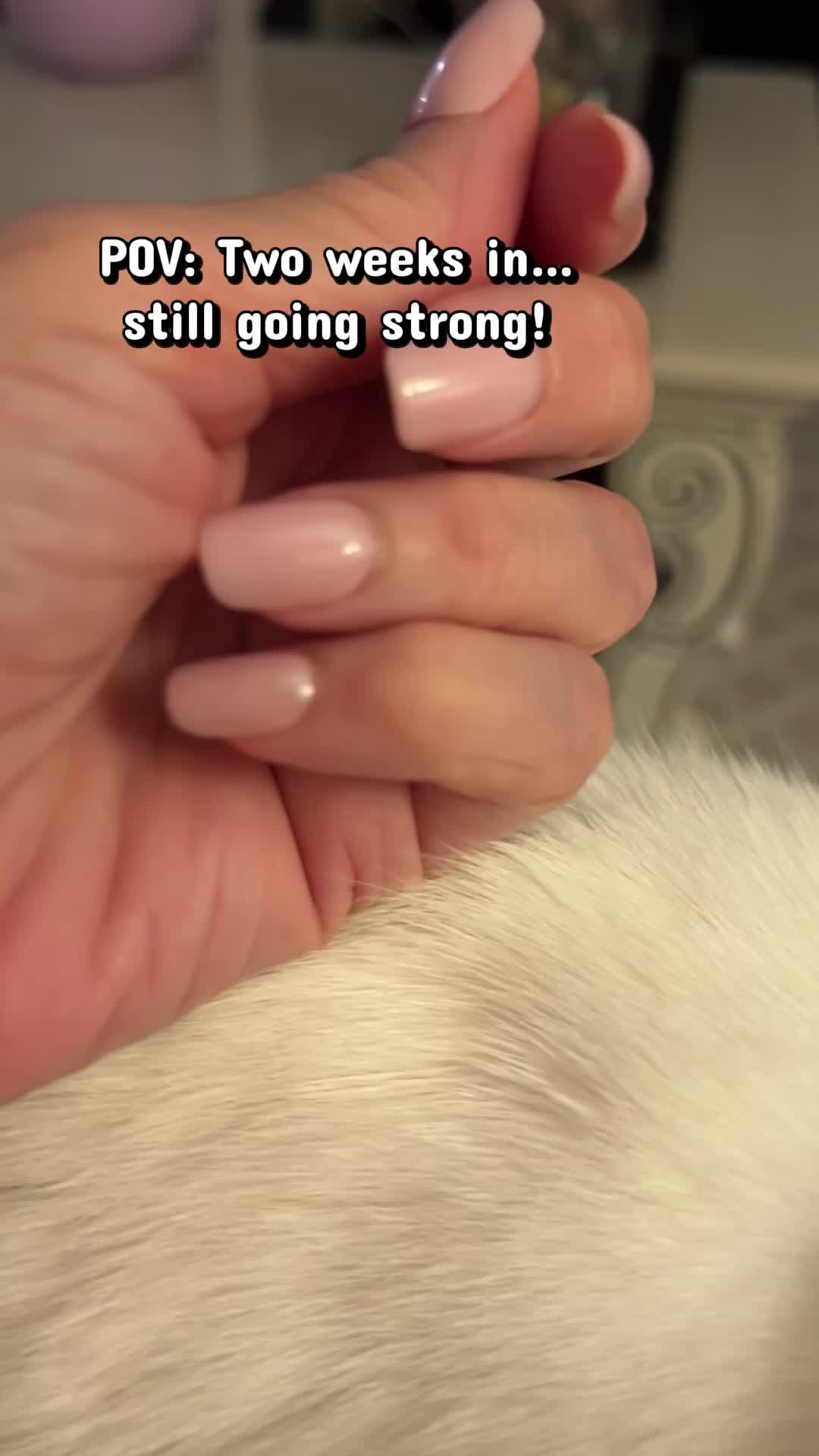 TikTok post by @stephgenx70 for Luxxi Nails. Caption reads: @LUXXI NAILS #nails.