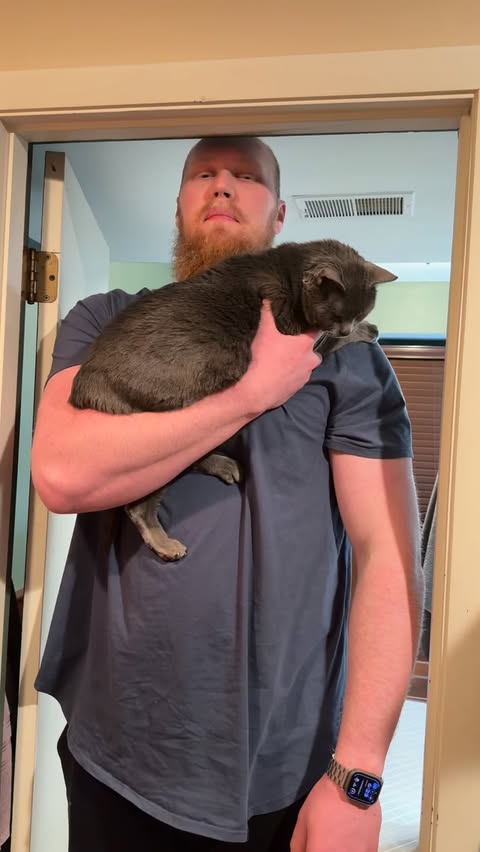 Instagram post by @seanhasjokes for Litter-Robot. Caption reads: [...] a litter box was never easy…but....