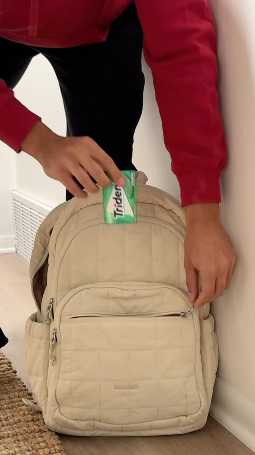 Instagram post by @kesheencurtis for Trident Gum. Caption reads: spend the day with me ft @tridentgum click the....