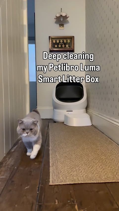 Instagram post by @oursevernhouse for PETLIBRO. Caption reads: [...] it all, ready to be used again The @petlibro....