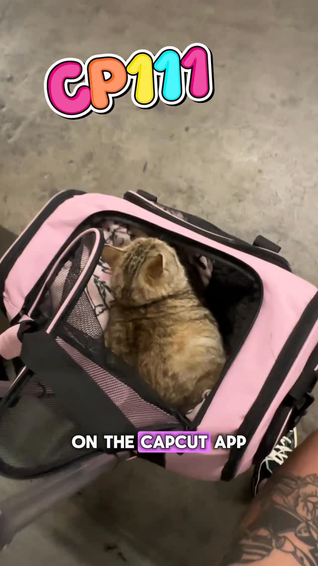 Instagram post by @melodyandjiggy for CapCut. Caption reads: Editing Jiggy’s videos just got way easier 😼✨....