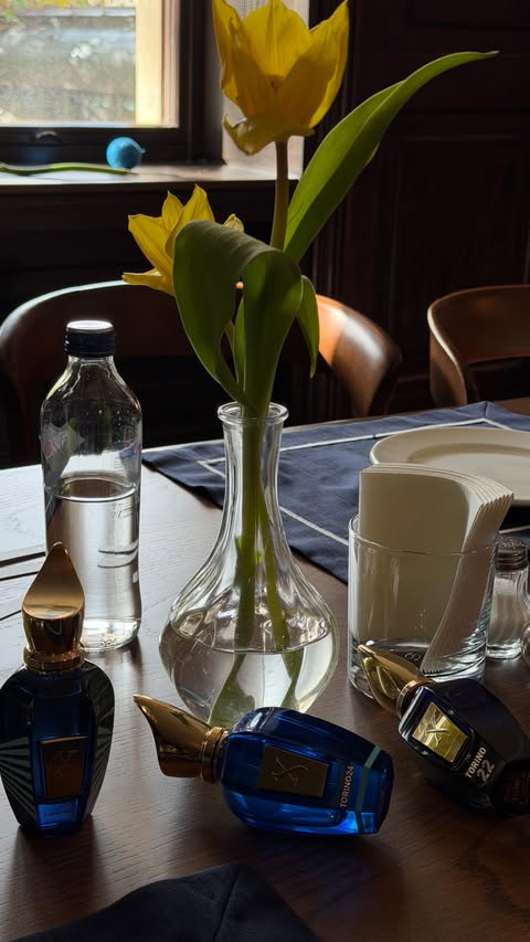 Instagram post by @damlaaltun for Philips Ev Ürünleri. Caption reads: günün kombini hazır… ama hepsinden önce bize....