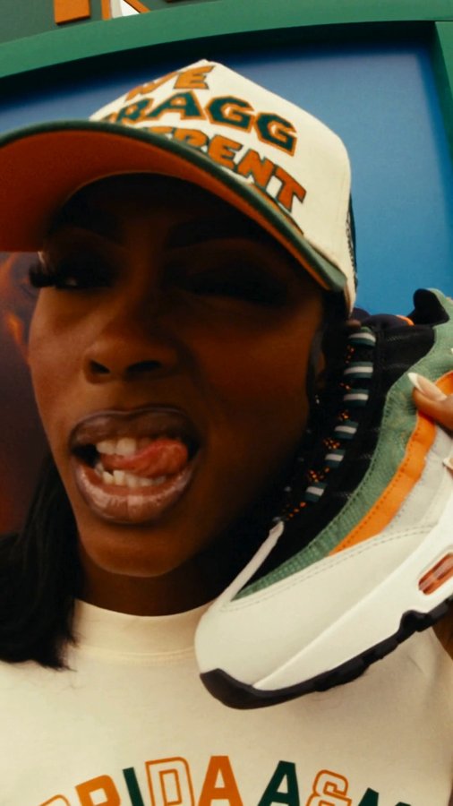 Instagram post by @famu_1887 for Hibbett. Caption reads: Celebrating HBCU culture - Rattler style 🐍 
FAMU....