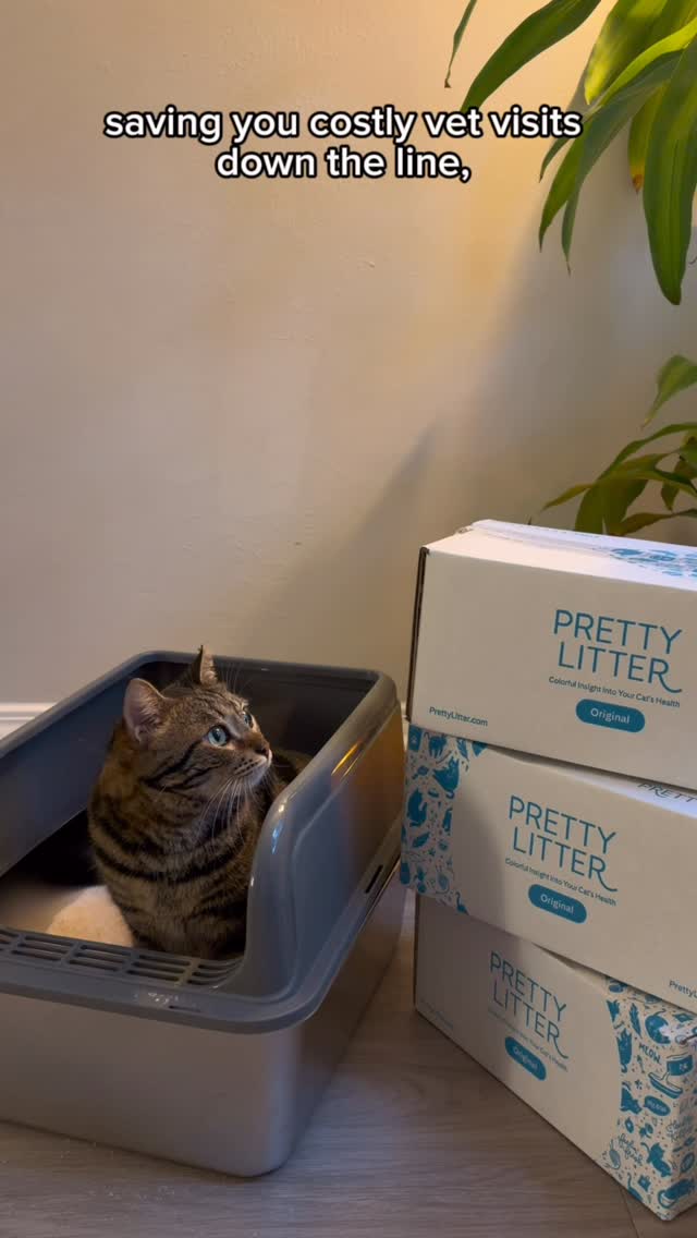 Instagram post by @accordingtomelissa for PrettyLitter. Caption reads: Peace of mind, one scoop at a time. 💜....