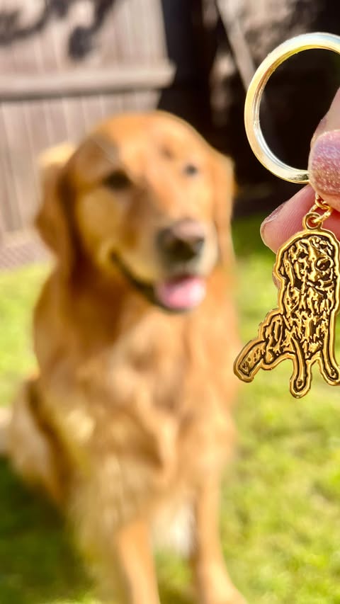 Instagram post by @leothegoldengeordie for PupRing. Caption reads: [...] 🥰 How fantastic are these pieces from....