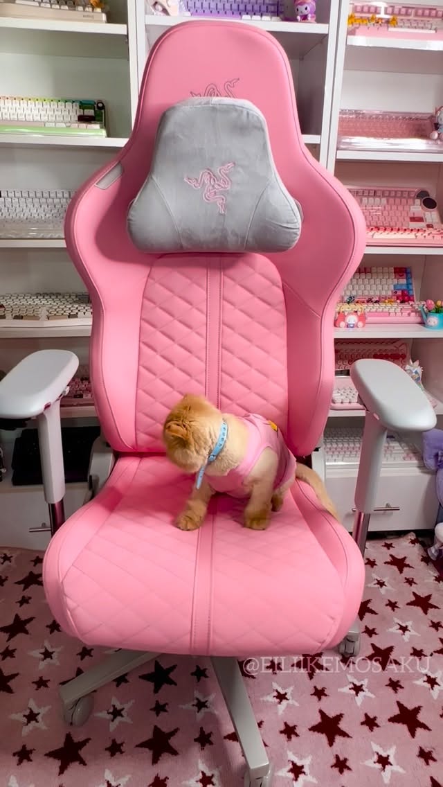 Instagram post by @eiliikemosaku for Razer. Caption reads: Hello lovely people 🌸 unboxing time 🌸 It’s a....