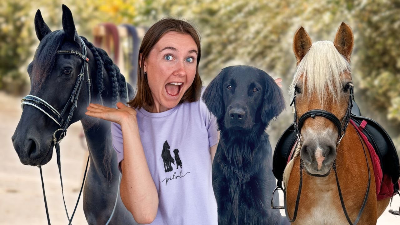 YouTube post by @Pilsali for mymuesli. Caption reads: 1 DAY IN MY LIFE 🐴.