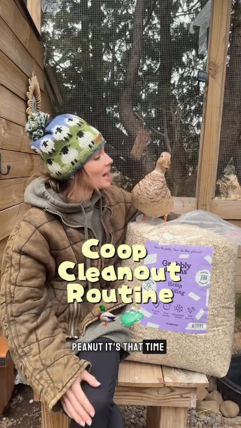 Instagram post by @cheez_and_quacker for Grubbly Farms. Caption reads: [...] easier now that we started using....