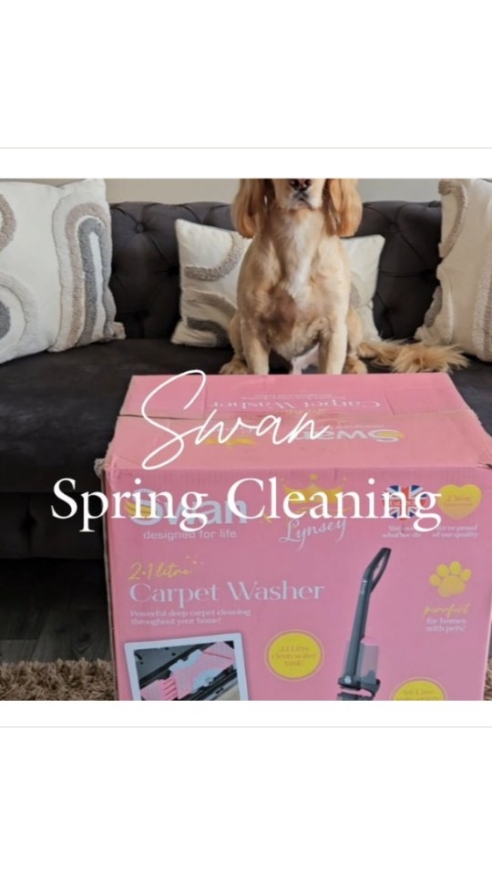 Instagram post by @hayleys.new.home for Swan Brand. Caption reads: Ad| Spring cleaning with the prettiest carpet....