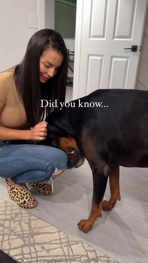 Instagram post by @axel.thedoberman for NaturVet. Caption reads: Aw, Axel! We get it, bud. Being apart from your....