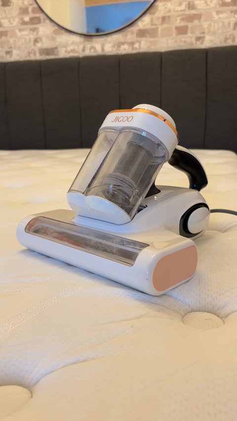 Instagram post by @hall_at_home for JIGOO. Caption reads: [...] shook!!!! 🤯

Ad - Look at the muck the....