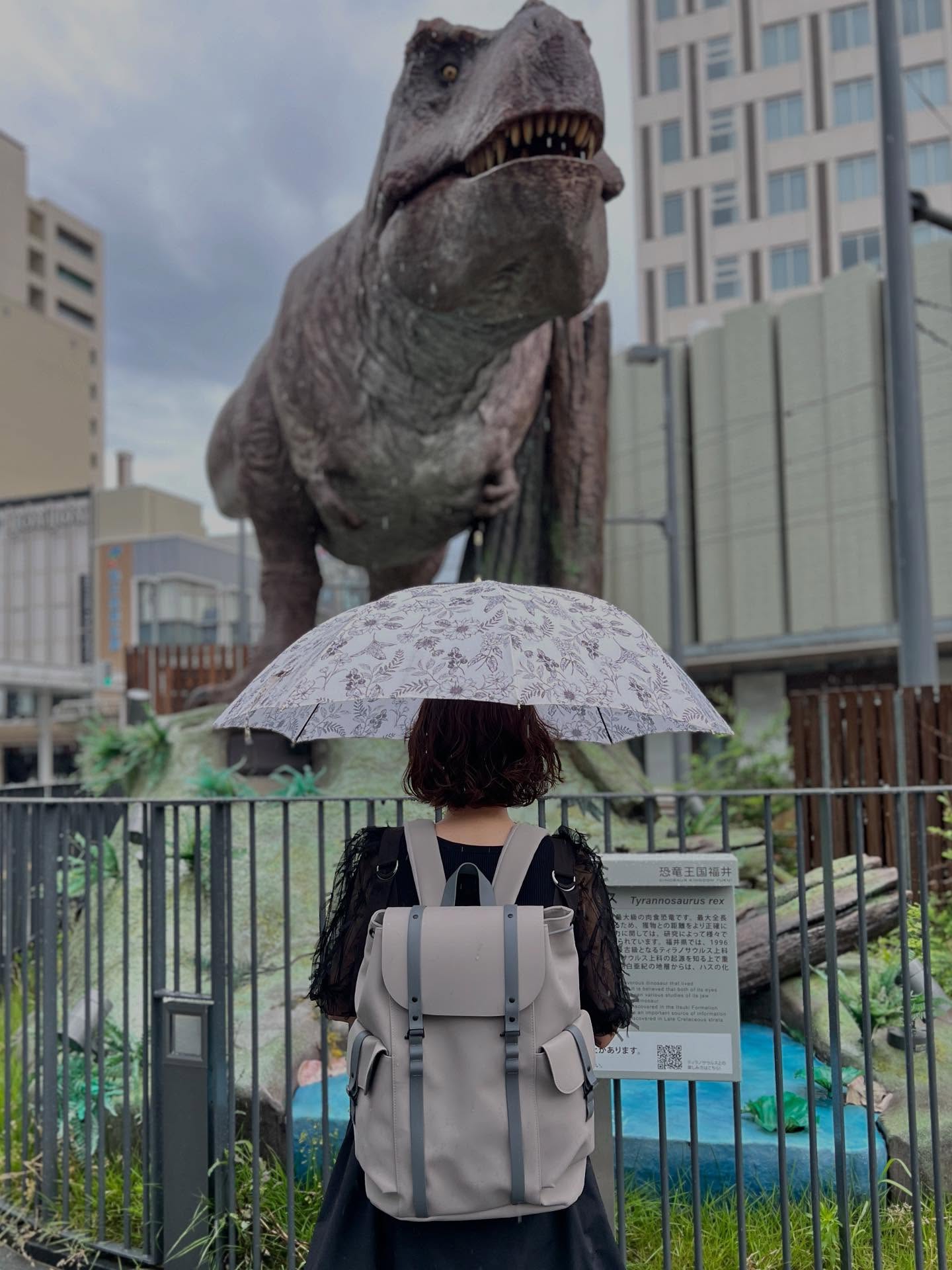 Instagram post by @mio_fukui for Gaston Luga. Caption reads: *
雨の福井駅前、恐竜の迫力が倍増！🦖⚡️
⁡
天気が悪い日ほど、恐竜たちは本気を出してくるのか
....