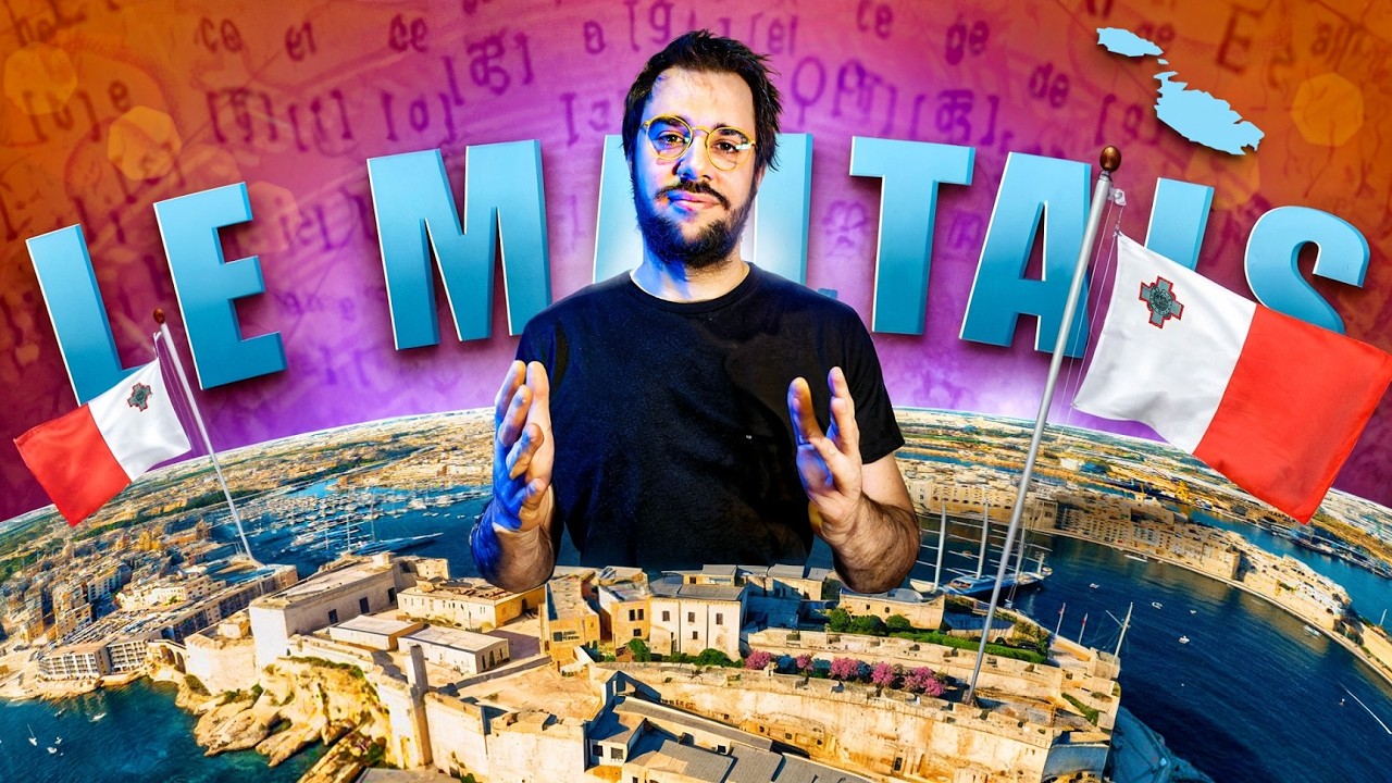 YouTube post by @Linguisticae for Fnac. Caption reads: ARABIC = OFFICIAL language of the European Union?.