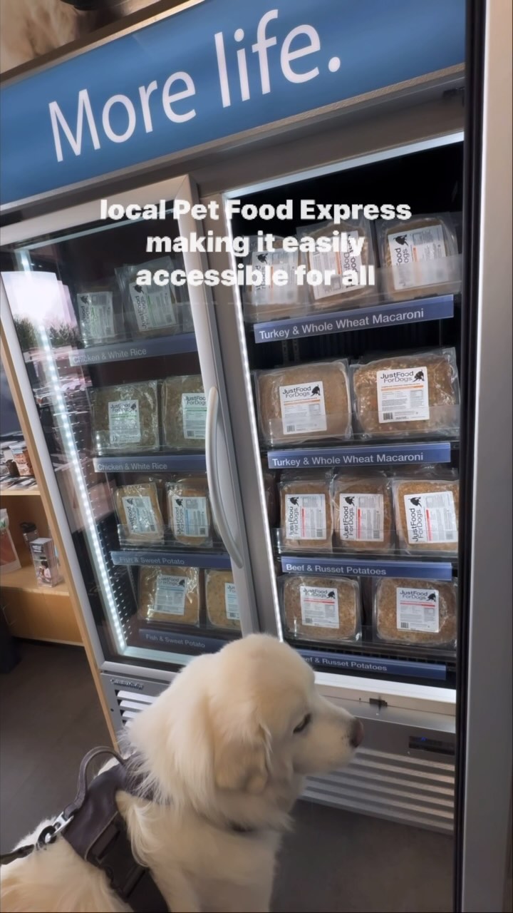 Instagram post by @whosagoodlizard for JustFoodForDogs. Caption reads: @justfoodfordogs is conveniently available inside....