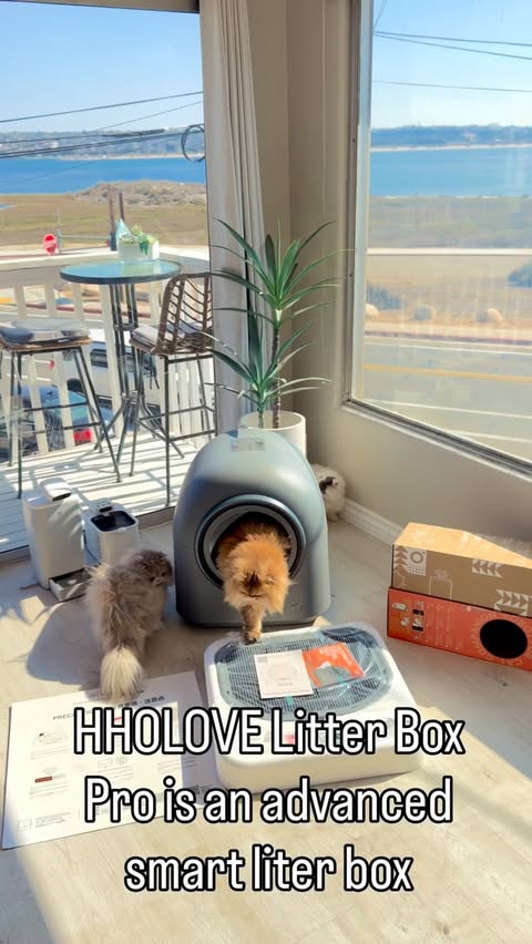 Instagram post by @catnessfluffygreen for Hholove. Caption reads: HHolove auto litter box sponsored video purchase....