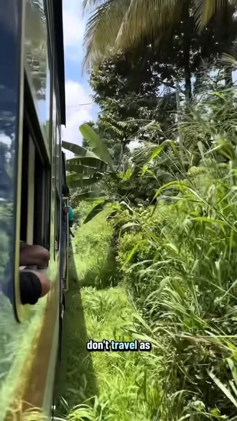 Instagram post by @tomazintia for SafetyWing. Caption reads: Traveling for months doesn’t have to be expensive....