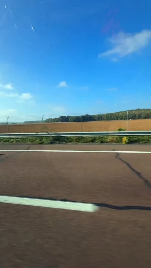 Instagram post by @sablewska for Farmina. Caption reads: [...] dla moich piesków wybieram @farminapolska....