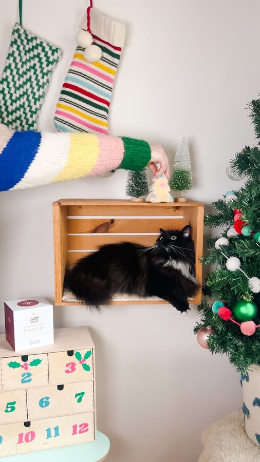 Instagram post by @annikamarieee for Fancy Feast. Caption reads: 🎁 SWEEPSTAKES 🎁 Join the 40th celebration of....